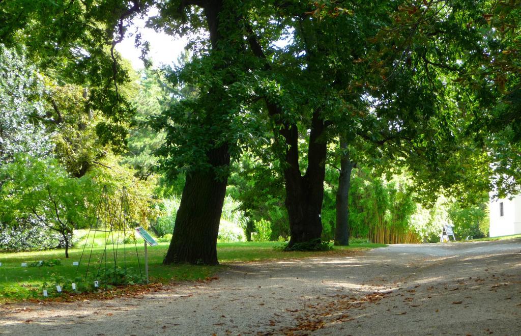 Streetview Wien - Premium Apartment Beim Belvedere Экстерьер фото